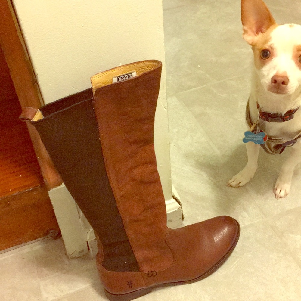 Frye Molly Tall Boots: Whiskey